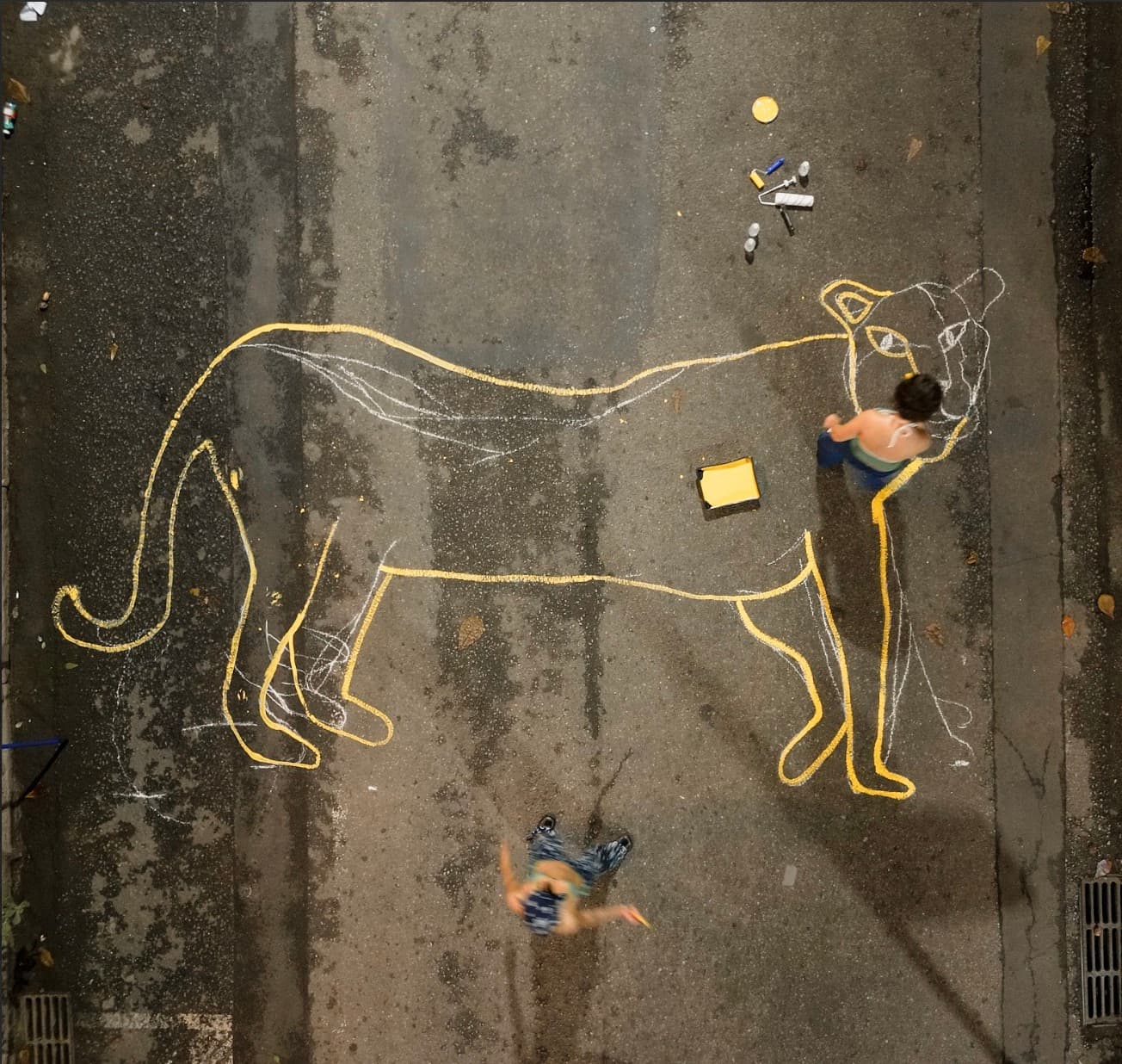 Urban-scale jaguar